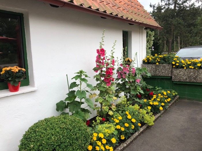 Pücherts Forellenhof