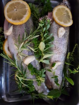 Fisch mit Zitrone